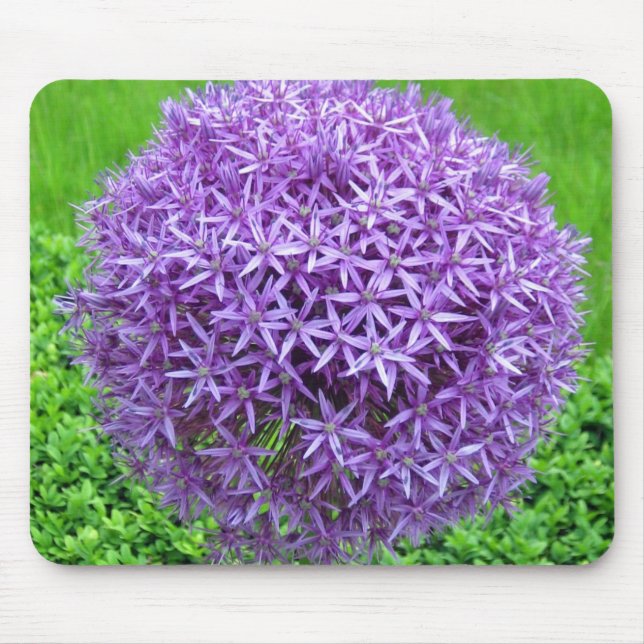 Mousepad Bola da Flor Roxa (Frente)