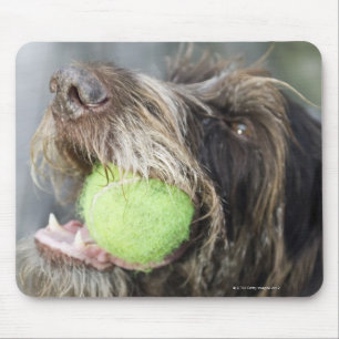 Mousepad Bola de tênis cortante do cão do ponteiro,
