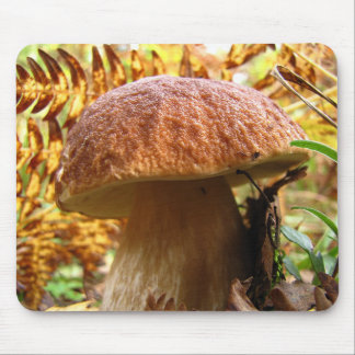 MOUSEPAD BOLETO EDULIS