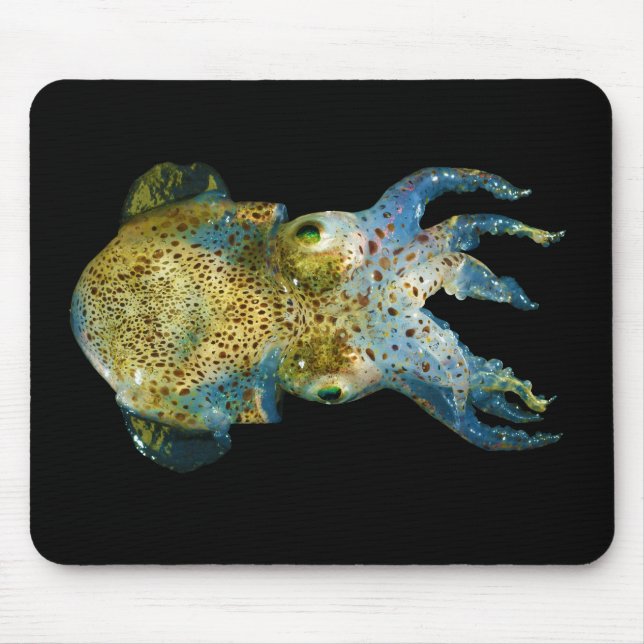 Mousepad Bolinha de massa Bobtail Sepiola atarracado (Frente)