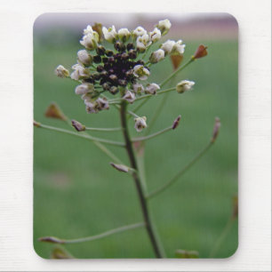 Mousepad Bolsa de Shepherd