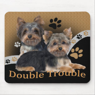 Mousepad Bolsas de Dupla Problemas em Yorkshire Terrier