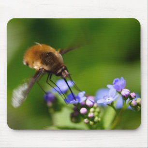 Mousepad Bombylius major