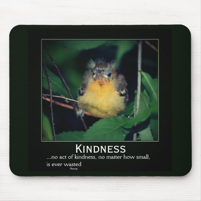 Mousepad Bondade Baby Oriole Inspiração (Frente)
