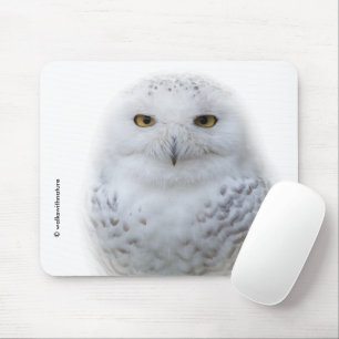 Mousepad Bonita, Dreamy e Serene Snowy Owl