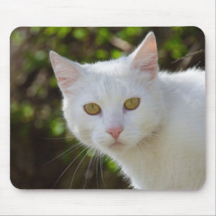 Mousepad Bonita Gata Branca