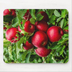 Mousepad Bonitas Maçãs Esperando para serem picadas!