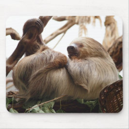 Mousepad Bonitinho animal de pele.