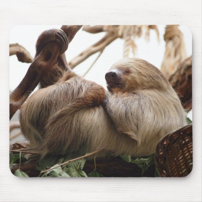 Mousepad Bonitinho animal de pele. (Frente)