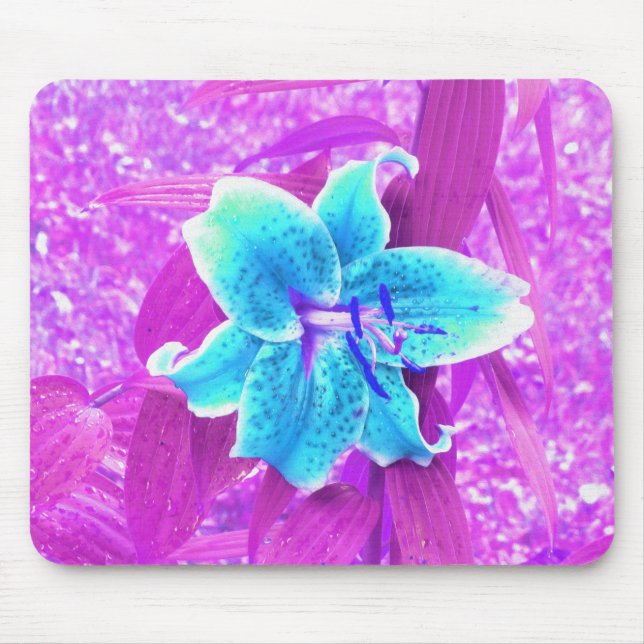 Mousepad Bonito Aqua Blue Stargazer Lily em Roxo (Frente)