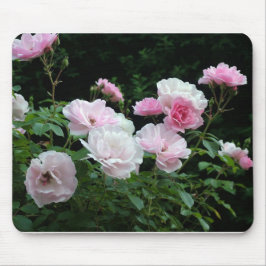 Mousepad bonito arbustos cor-de-rosa e rosa branca. Floral,