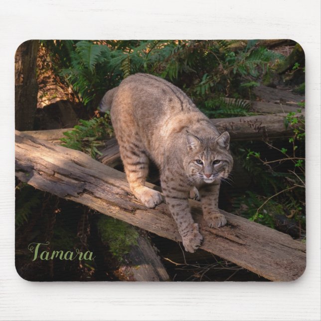 Mousepad Bonito Bobcat Wildlife Lover Nome Personalizado (Frente)