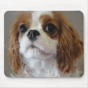 Mousepad bonito descuidado do cão de filhote de