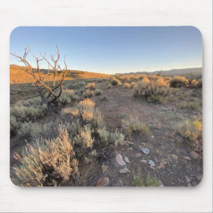 Mousepad Bonito Deserto De Nevada
