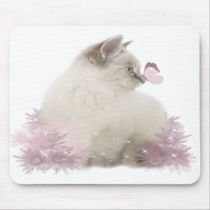 mousepad bonito do gatinho