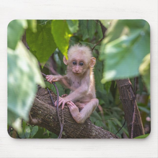 Mousepad Bonito Feixe Perfurado Macaque (Frente)