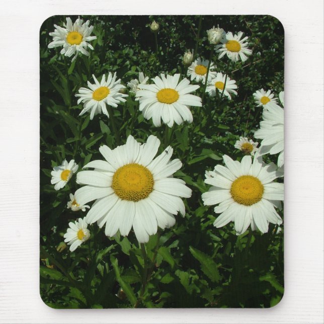 Mousepad bonito flores de margarida branca. (Frente)
