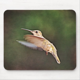 Mousepad Bonito Hummingbird no rato selvagem