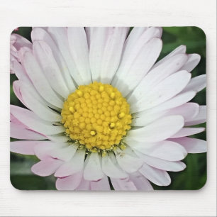Mousepad Bonito margarida