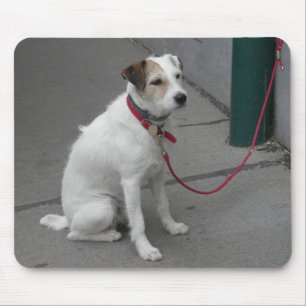 Mousepad Bonito Mongrel Branco