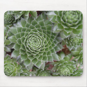 Mousepad Bonito Mouse Flor