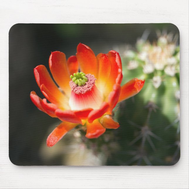 Mousepad Bonito Mouse Flor (Frente)