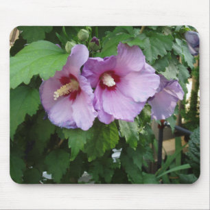 Mousepad Bonito Mouse Flor