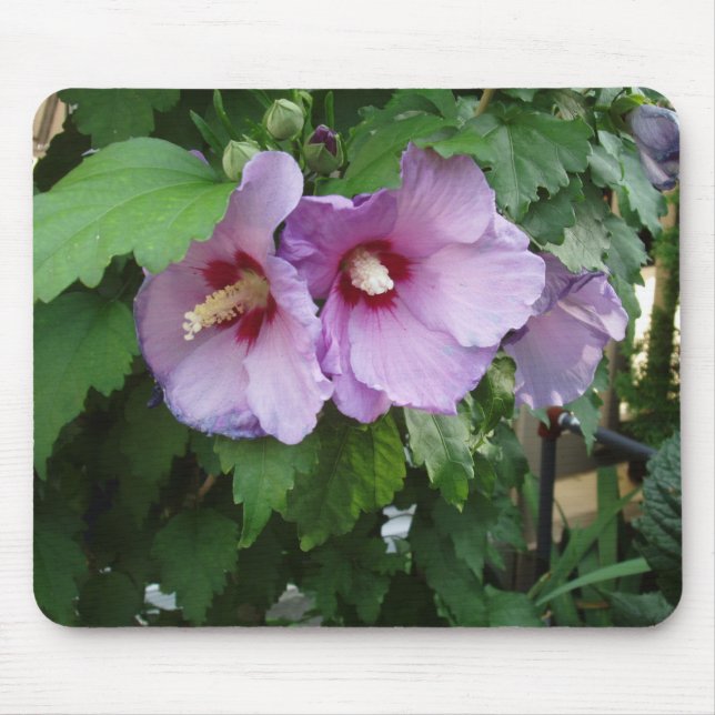Mousepad Bonito Mouse Flor (Frente)