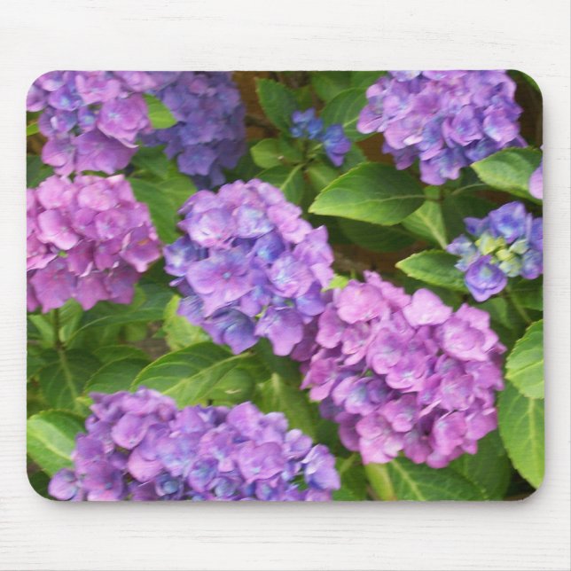 Mousepad Bonito Mousepad, Rosa e Azul Hydrangeas (Frente)