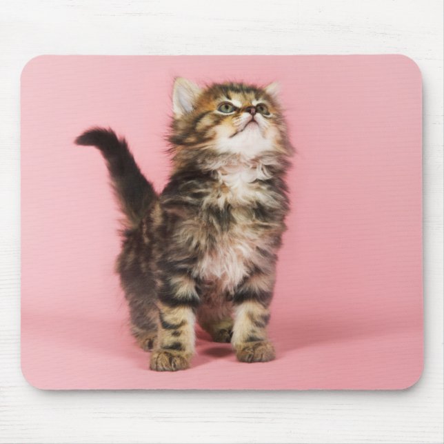 Mousepad Bonito no gatinho cor-de-rosa (Frente)
