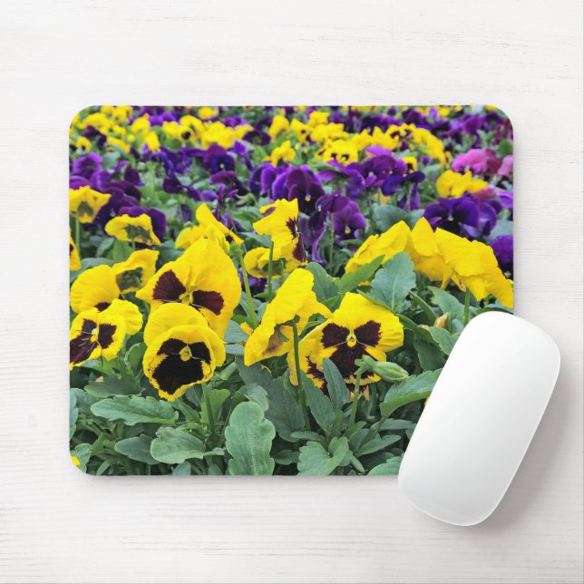 Mousepad Bonito pansias numa estufa (Com mouse)