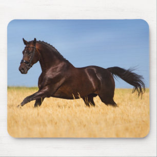 Mousepad Bonito rato de cavalo