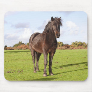 Mousepad Bonito rato de cavalo