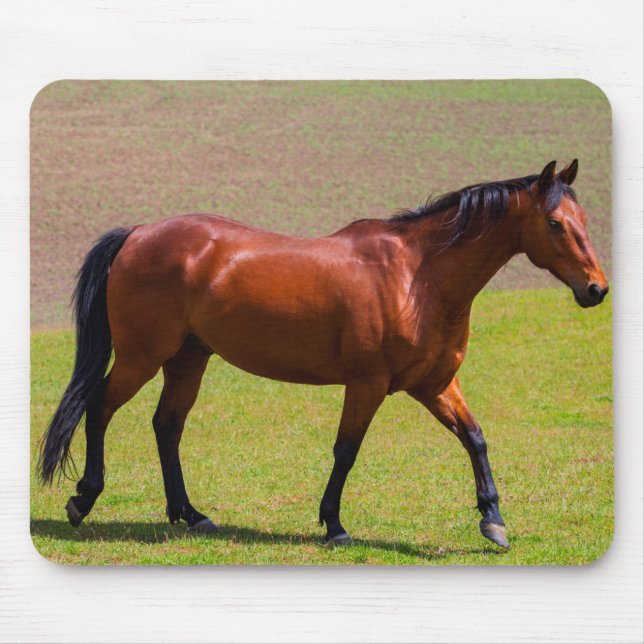 Mousepad Bonito rato de cavalo (Frente)