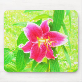 Mousepad Bonito Stargazer Rosa Profundo Lily no Verde limão