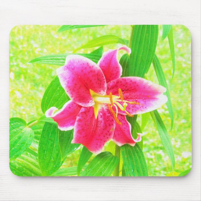 Mousepad Bonito Stargazer Rosa Profundo Lily no Verde limão (Frente)