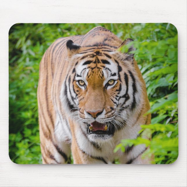 Mousepad Bonito tapete de rato Tigre (Frente)