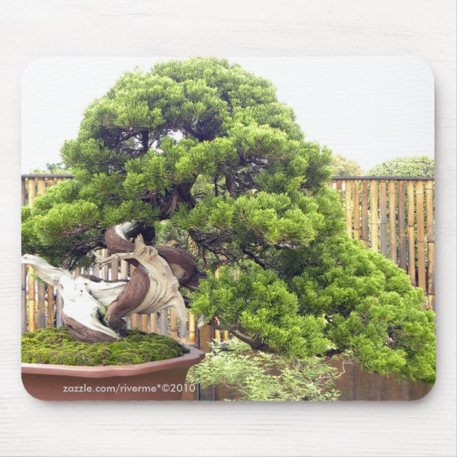 Mousepad Bonsais/paisagem Potted chinesa (Frente)