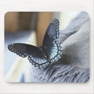 Mousepad Borboleta