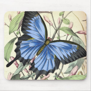 Mousepad Borboleta