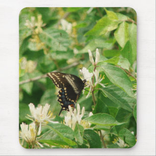Mousepad Borboleta