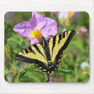 Mousepad Borboleta