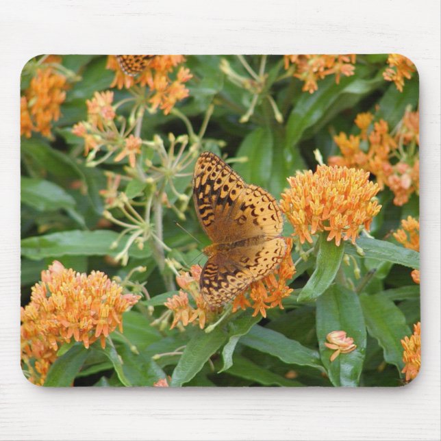Mousepad borboleta (Frente)