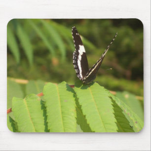 Mousepad Borboleta 3D
