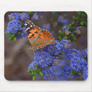 Mousepad Borboleta alaranjada na flor azul
