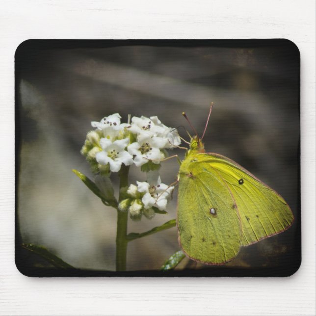 Mousepad Borboleta Amarela (Frente)