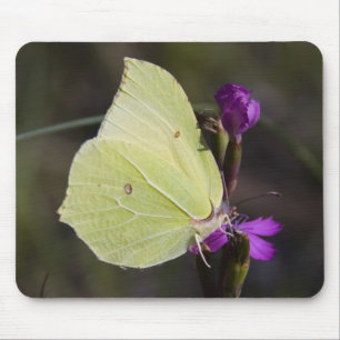 Mousepad borboleta amarela