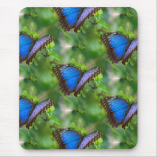 Mousepad Borboleta Azul