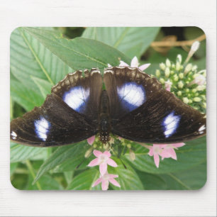 Mousepad Borboleta Azul