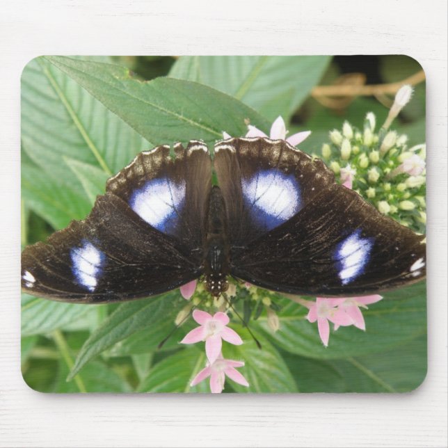 Mousepad Borboleta Azul (Frente)